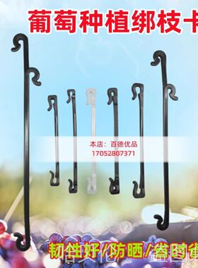 葡萄邦枝卡扣种植果园大棚朋猕猴免拆防脱固定抗风晒耐用省力捆蔓