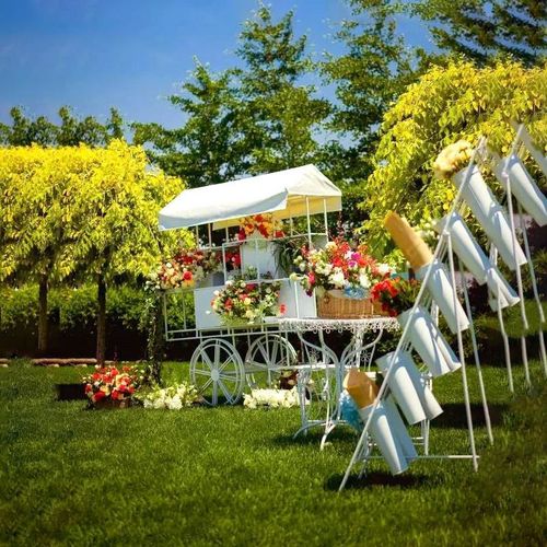 铁艺移动花架户外花车摆摊落地式展示商场活动摆件花店装饰摊位车