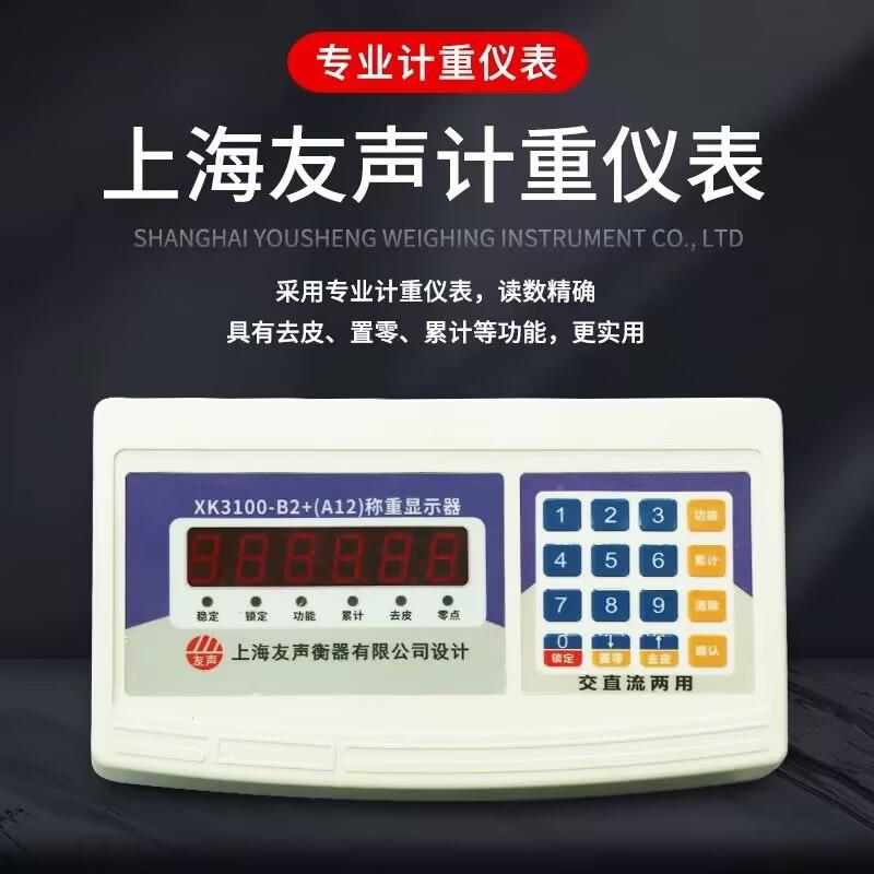 上海电地磅秤1吨0.1kg地磅称子50kg0.1kg高精scs-500k度0工磅业地