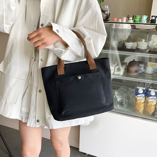 新款帆布手提包女宝妈外出小拎包上班族通勤便当包高级感百搭挎包