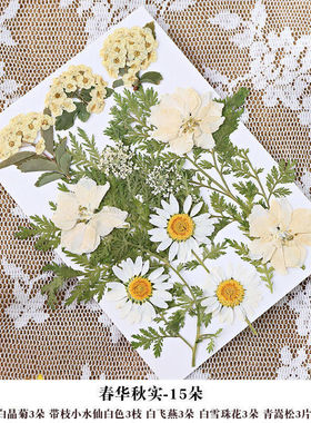 干叶子花朵真花创意手工diy压花植物标本简约6寸金属玻璃相框包邮