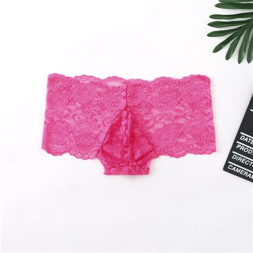 Briefs Underwear See-Through Sexy Elastic Pouch Multi-Size