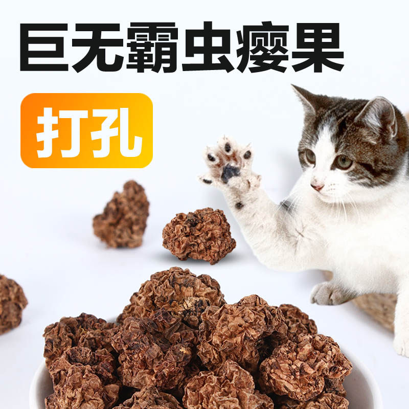 MAJA神奇虫瘿果逗猫玩具