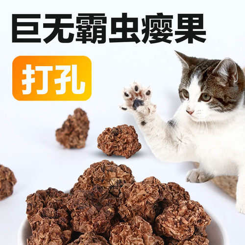 MAJA神奇虫瘿果逗猫玩具