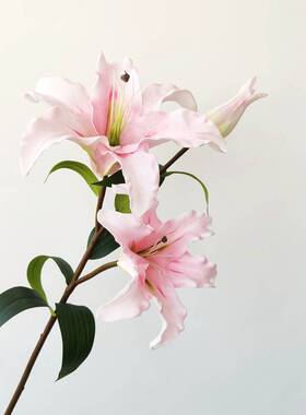 太逼真了仿真手感PU保湿百合花束客厅装饰摆件设抖音盆栽假花