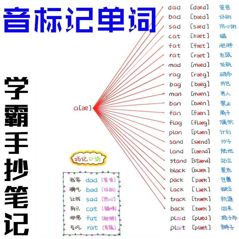 音标对应字母组合秒记2000词学音标快速记单词思维导图便携手卡
