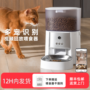 petfong宠物多宠Ai识别自动喂食器猫咪狗定时定量APP远程控制神器