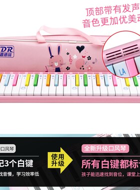 嘉德瑞口风琴37键小学生专用初学者32键课堂教学幼儿童口吹管乐器
