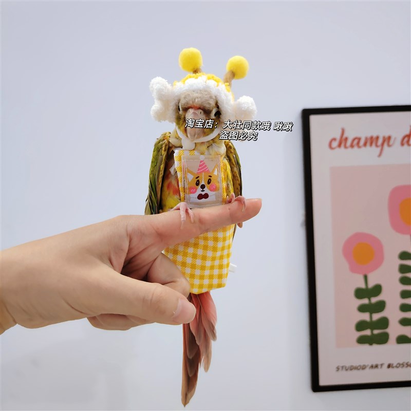 鹦鹉尿不湿立体款固定肩带可调节大容量屎兜尿裤衣服玄凤牡丹虎皮