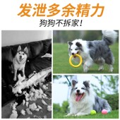 狗狗玩具球耐咬中大型犬边牧拉布拉多训狗专用球拉环狗狗磨牙玩具