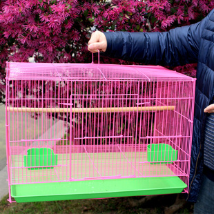 鸟笼虎皮鹦鹉绣眼百灵蜡嘴鹧鸪斑鸠鹌鹑麻雀芙蓉养殖鸽子大鸟笼子