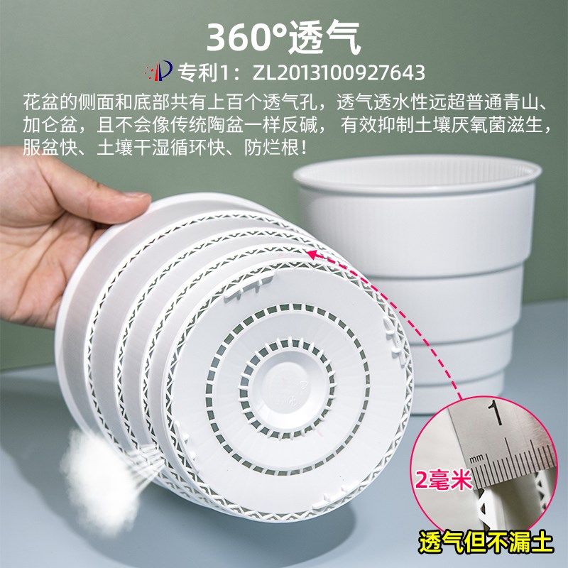 美莳热植海芋专用花盆秋海棠彩叶芋塑料透气控根白色青山活性保持,鲜花速递/花卉仿真/绿植园艺,花盆,淘宝优惠券,粉丝福利购,淘宝优惠卷