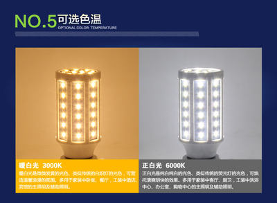 LED玉米灯节能灯泡E27螺口10W30W60W80W大功率超亮白光暖光灯泡