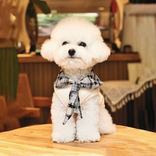 洋气双子星帅气学院风华夫格狗狗猫咪宠物背心马尔济斯比熊雪纳瑞