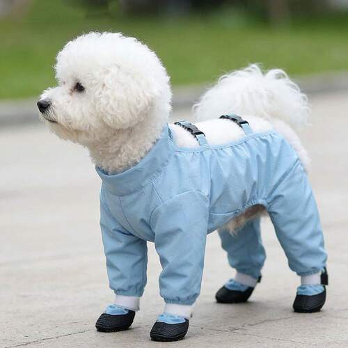狗狗防尘裤连脚防水防尿比熊小狗外出遛狗神器四脚衣防脏衣服
