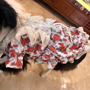 狗狗衣服中大型犬裙子春秋舒适防掉毛夏装玫瑰公主裙同款狗狗裙子
