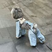 腿裤 四脚裤 比熊泰迪防虫狗腿衣服洋气 防脏春夏薄款 狗狗四脚防尘裤