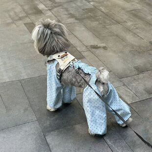 腿裤 四脚裤 比熊泰迪防虫狗腿衣服洋气 防脏春夏薄款 狗狗四脚防尘裤