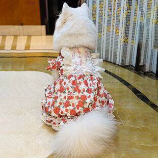 狗狗衣服中大型犬裙子春秋舒适防掉毛夏装玫瑰公主裙网红狗狗裙子