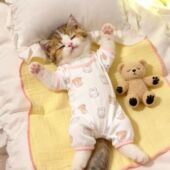 猫咪狗狗可爱保暖睡衣猫新款 家居舒适四脚款 幼犬通用超萌四脚防寒