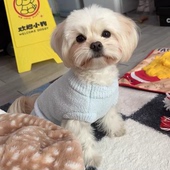软半边绒毛衣狗狗猫咪泰迪比熊宠物衣服秋冬小狗猫咪保暖网红冬款