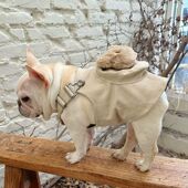 春夏新款 法斗巴哥斗牛犬衣服博美可爱小熊背包肩带背心卫衣搞笑潮