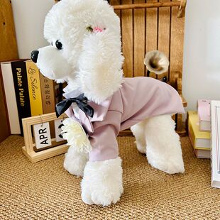 春秋款夏季狗狗猫咪宠物衣服法式约克夏马尔济斯小型犬夏款西装