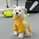 春秋舒适狗狗衣服小型犬泰迪外出防脏中型犬高级感秋季 四脚冲锋衣