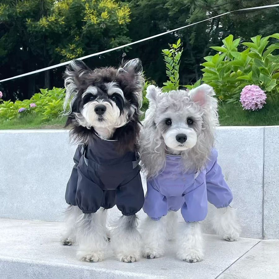 新款洋气小狗帅气可牵引狗狗超萌宠物专用户外防风外出衣服冲锋衣
