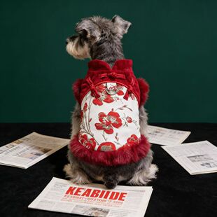 保暖新年唐装节日冬季小狗狗衣服泰迪猫咪过年喜庆狗狗衣服秋冬款