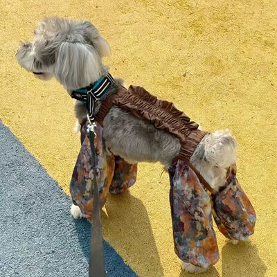 狗狗四脚防尘裤防脏春夏薄款四脚裤腿裤比熊泰迪防虫狗腿衣服洋气