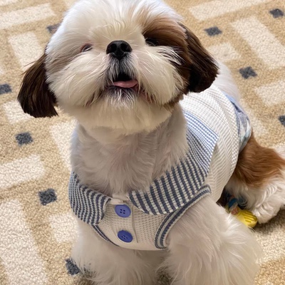 狗狗衣服春夏款ins居家薄款卡通背心新款马尔济斯小型犬小狗衣服