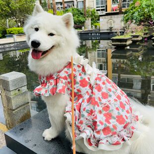狗狗衣服中大型犬裙子春秋舒适防掉毛夏装玫瑰公主裙网红狗狗裙子