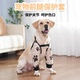 秋冬加厚小狗护肘衣保护狗狗关节防磨损金毛拉布拉多边牧中大型犬