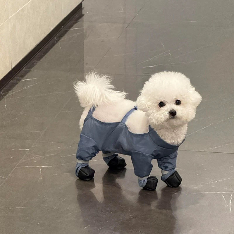 小狗狗连脚防尘裤外出遛狗防脏四脚衣脚套护腿小型犬衣服四季通用