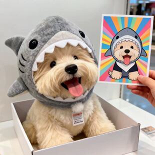 狗狗帽子猫咪头套春秋比熊泰迪博美雪纳瑞鲨鱼变装狗狗冬季帽子