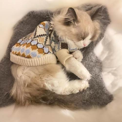 秋冬复古英伦风菱格纹宠物狗狗毛衣冬季保暖ins可爱猫咪衣服冬装