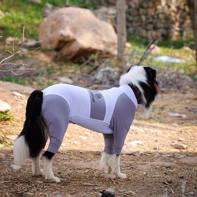 狗狗衣服中大型犬夏季薄款四脚衣透气防晒防掉毛衣服边牧雪纳瑞