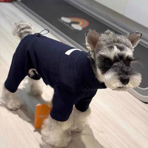 小狗狗衣服秋冬款四脚衣雪纳瑞马尔济斯泰迪博美比熊春秋季打底衫