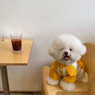 狗狗衣服春秋款 四脚冲锋衣 小型犬泰迪外出防脏中型犬高级感秋季