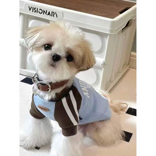 潮牌卫衣秋冬款小狗拼色可爱春秋天韩版超小宠物猫咪网红