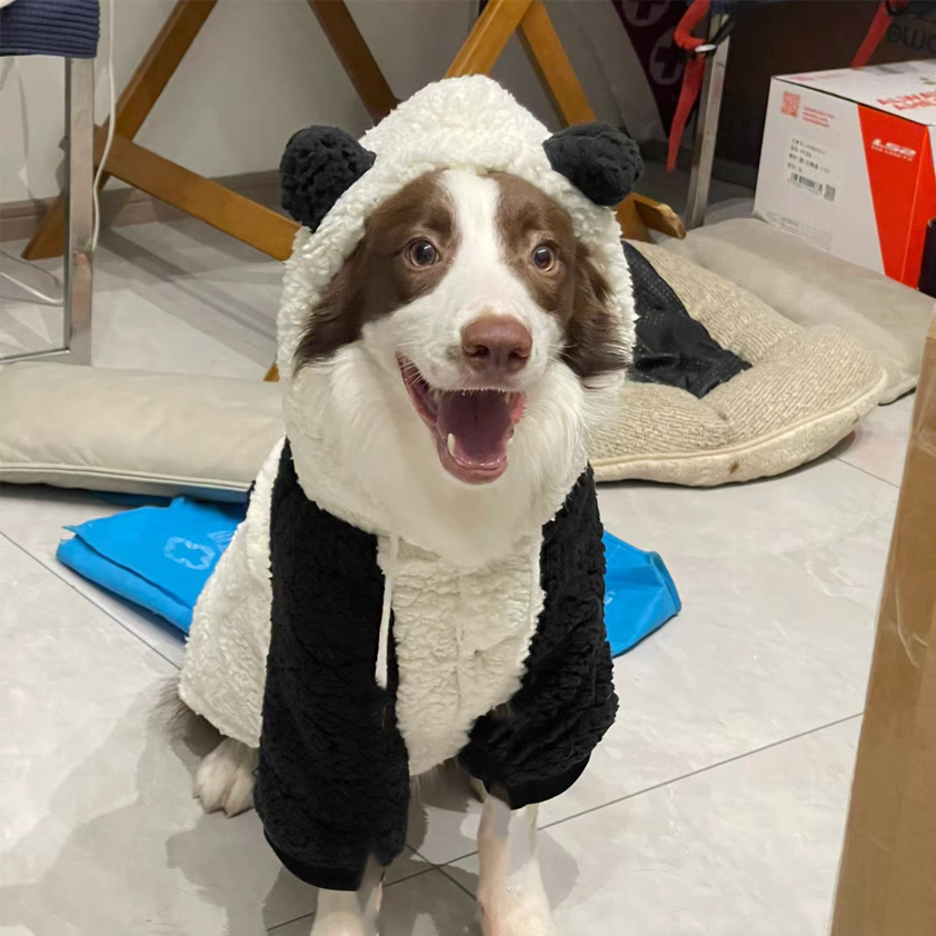 春秋款连帽冬季狗狗可爱老虎头新年套装萨摩耶金毛老虎加绒秋冬装