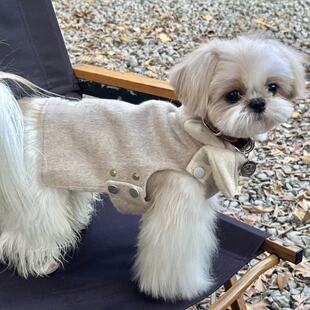 2025新款 防风休闲风衣中小型宠物西施马尔济斯约克夏 狗狗衣服冬季