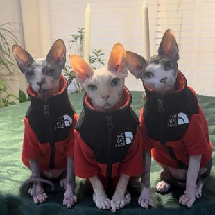 猫咪保暖无毛猫衣服斯芬克斯德文柯尼斯阿比冬季 摇粒绒卫衣外套