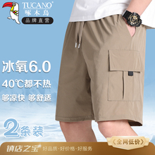 冰丝工装短裤男裤夏季薄款速干裤宽松工装裤大码休闲裤五分裤裤子