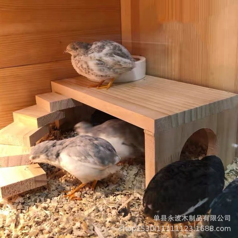 芦丁鸡喂食平台装饰仓鼠