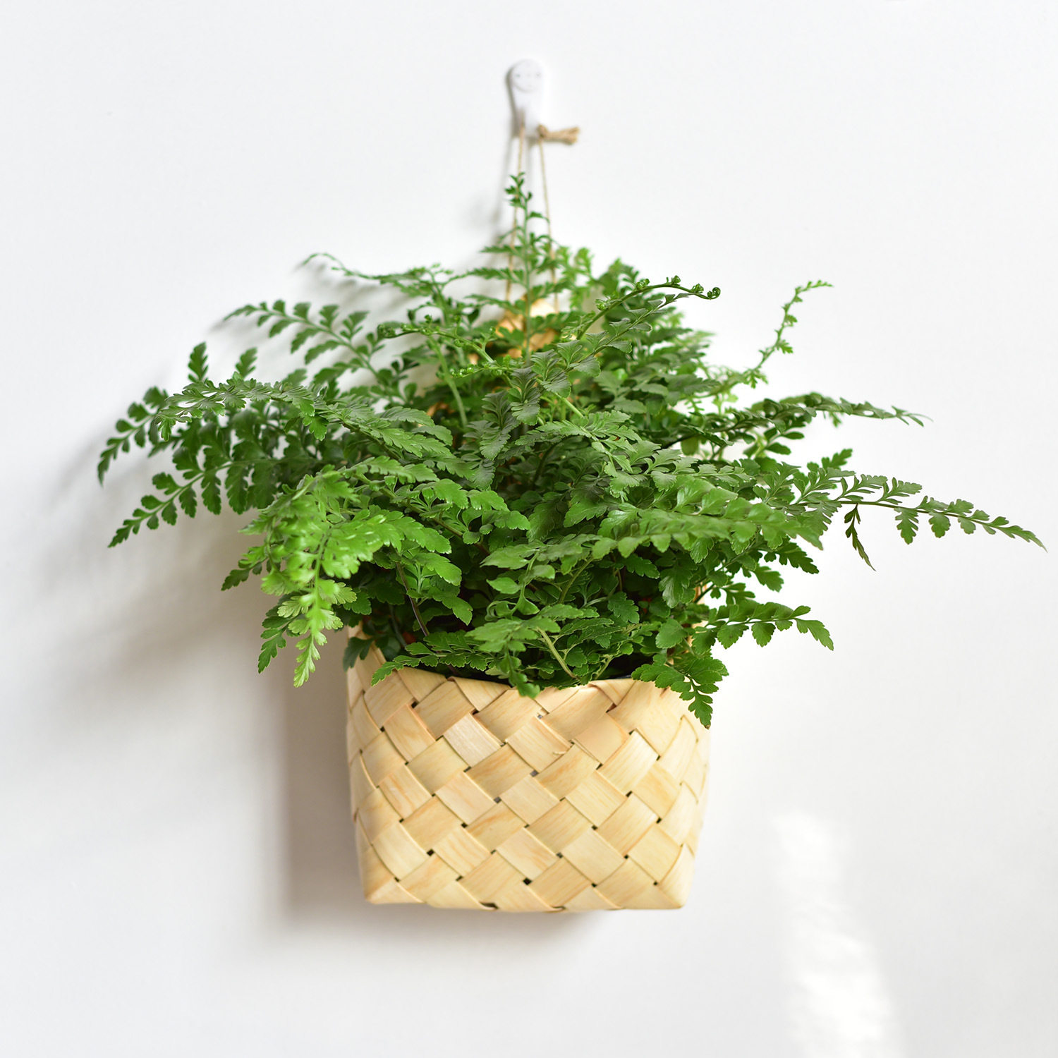 编织木制板皮挂墙花篮花