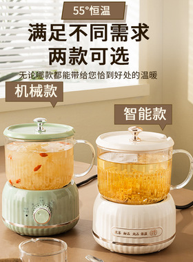 家用玻璃壶身迷你煮茶壶