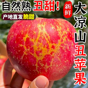 2025新鲜大凉山丑苹果9斤冰糖心苹果当季水果整箱四川盐源红富士