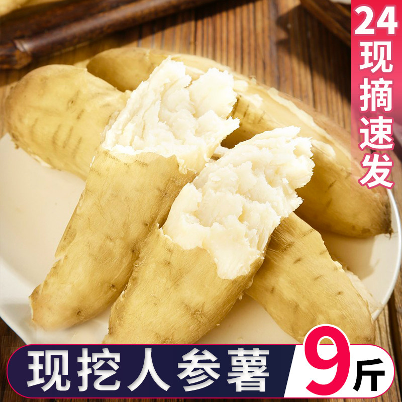 现挖新鲜人参红薯超粉香甜9斤